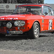 DSC_2251Fulvia sw.jpg